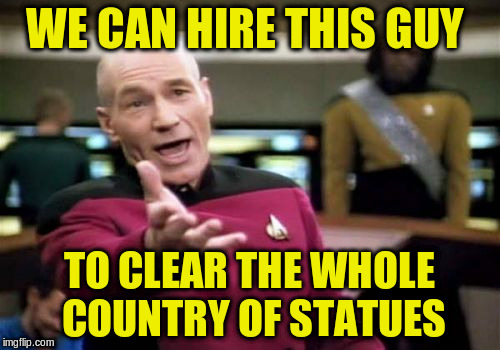 Picard Wtf Meme | WE CAN HIRE THIS GUY TO CLEAR THE WHOLE COUNTRY OF STATUES | image tagged in memes,picard wtf | made w/ Imgflip meme maker