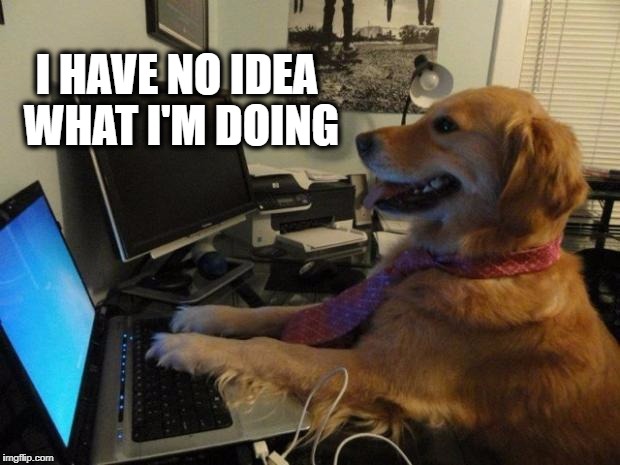 Dog behind a computer | I HAVE NO IDEA WHAT I'M DOING | image tagged in dog behind a computer | made w/ Imgflip meme maker