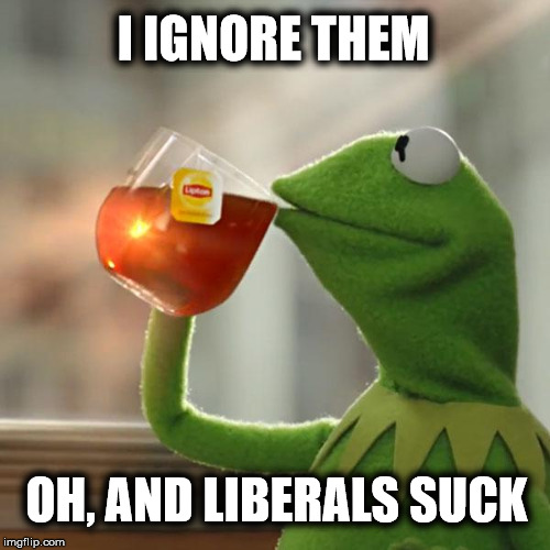 But That's None Of My Business Meme | I IGNORE THEM OH, AND LIBERALS SUCK | image tagged in memes,but thats none of my business,kermit the frog | made w/ Imgflip meme maker