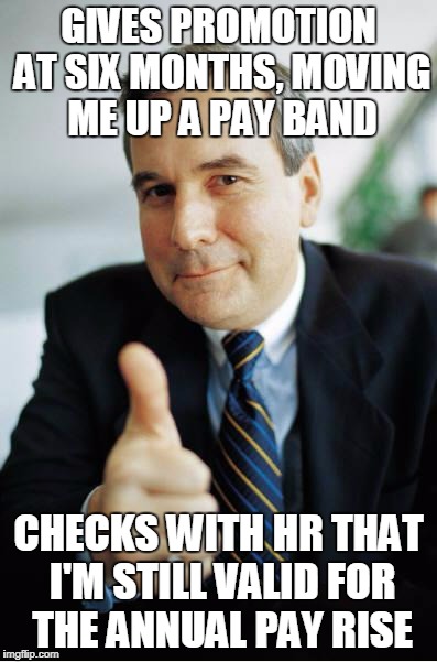 Good Guy Boss | GIVES PROMOTION AT SIX MONTHS, MOVING ME UP A PAY BAND; CHECKS WITH HR THAT I'M STILL VALID FOR THE ANNUAL PAY RISE | image tagged in good guy boss | made w/ Imgflip meme maker