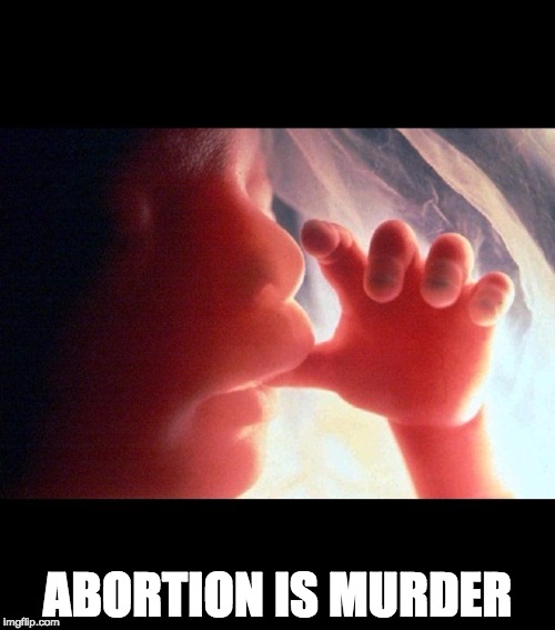   | ABORTION IS MURDER | image tagged in abortion,murder,pro life | made w/ Imgflip meme maker