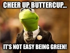 CHEER UP, BUTTERCUP... IT'S NOT EASY BEING GREEN! | made w/ Imgflip meme maker