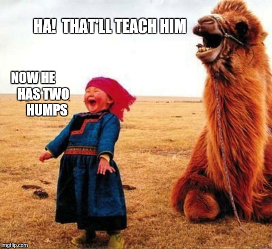 HA!  THAT'LL TEACH HIM NOW HE        HAS TWO         HUMPS | made w/ Imgflip meme maker