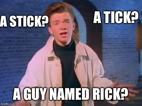 A STICK? A GUY NAMED RICK? A TICK? | made w/ Imgflip meme maker