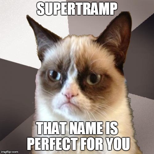 Musically Malicious Grumpy Cat | SUPERTRAMP; THAT NAME IS PERFECT FOR YOU | image tagged in musically malicious grumpy cat,grumpy cat | made w/ Imgflip meme maker