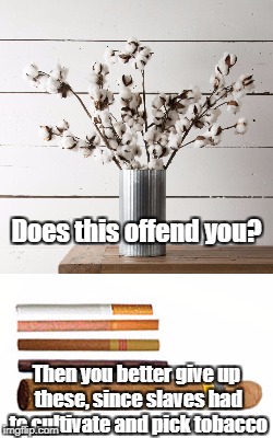 Don't forget to be offended by rope, sugar cane, rum, whiskey and rice!  | Does this offend you? Then you better give up these, since slaves had to cultivate and pick tobacco | image tagged in hypocrites,slaves | made w/ Imgflip meme maker