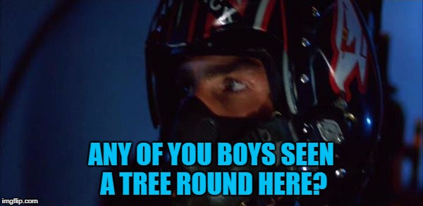 ANY OF YOU BOYS SEEN A TREE ROUND HERE? | made w/ Imgflip meme maker