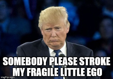 Sad Donald Trump | SOMEBODY PLEASE STROKE MY FRAGILE LITTLE EGO | image tagged in sad donald trump | made w/ Imgflip meme maker