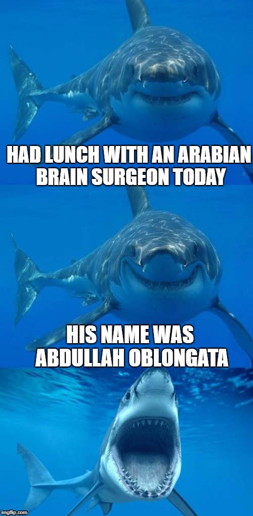 Bad shark pun brain teaser | HAD LUNCH WITH AN ARABIAN BRAIN SURGEON TODAY; HIS NAME WAS ABDULLAH OBLONGATA | image tagged in bad shark pun,memes,shark,dashhopes,template,jaws | made w/ Imgflip meme maker