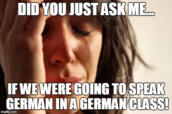 First World Problems | DID YOU JUST ASK ME... IF WE WERE GOING TO SPEAK GERMAN IN A GERMAN CLASS! | image tagged in memes,first world problems | made w/ Imgflip meme maker