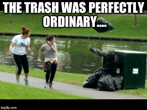 THE TRASH WAS PERFECTLY ORDINARY.... | made w/ Imgflip meme maker