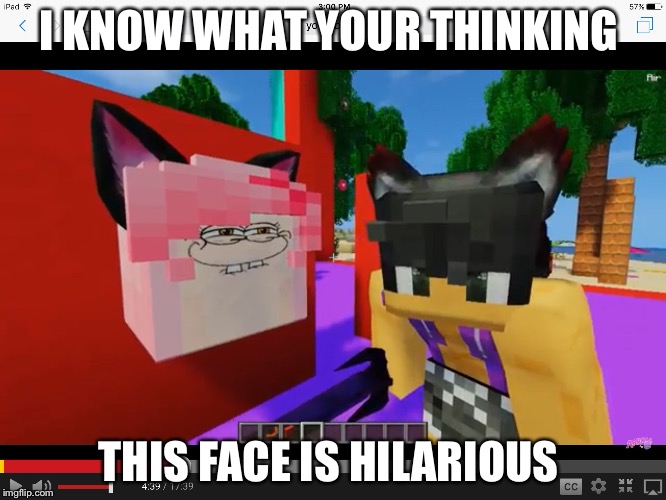 I KNOW WHAT YOUR THINKING; THIS FACE IS HILARIOUS | image tagged in shouldn't have paused it | made w/ Imgflip meme maker