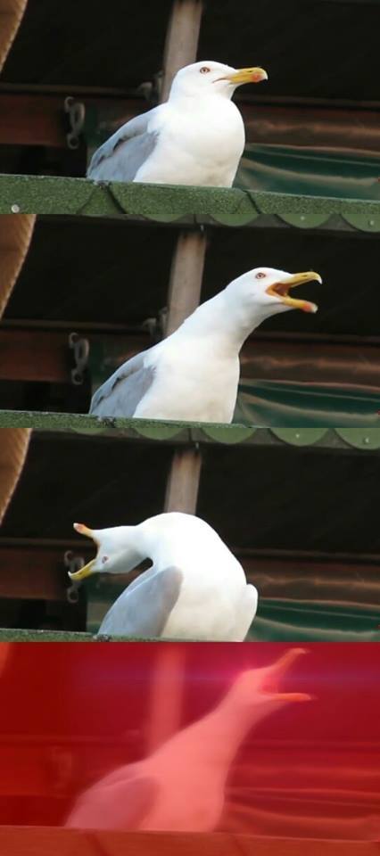 Inhaling Seagull Blank Meme Template