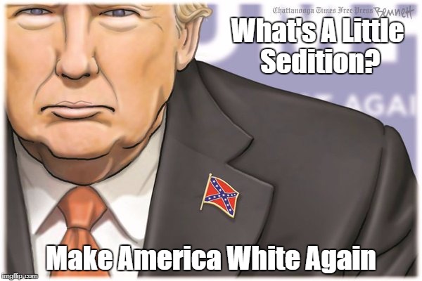 What's A Little Sedition? Make America White Again | made w/ Imgflip meme maker