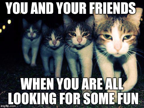 Wrong Neighboorhood Cats Meme | YOU AND YOUR FRIENDS; WHEN YOU ARE ALL LOOKING FOR SOME FUN | image tagged in memes,wrong neighboorhood cats | made w/ Imgflip meme maker