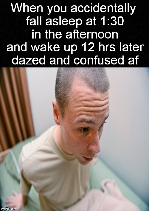 Dazed & Confused | When you accidentally fall asleep at 1:30 in the afternoon and wake up 12 hrs later dazed and confused af | image tagged in funny memes,nap,sleep,dazed and confused,memes | made w/ Imgflip meme maker