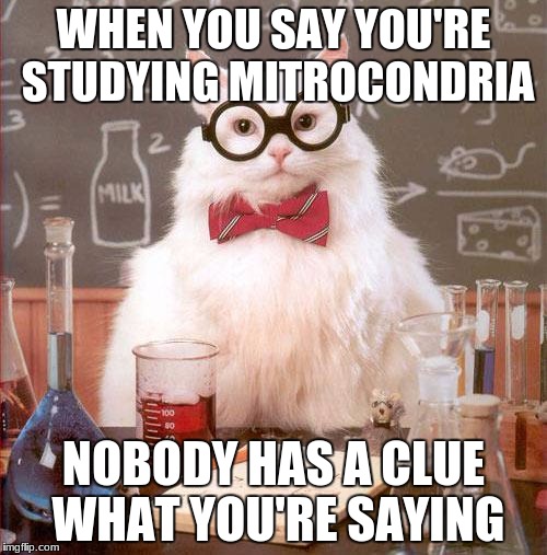 Science Cat | WHEN YOU SAY YOU'RE STUDYING MITROCONDRIA; NOBODY HAS A CLUE WHAT YOU'RE SAYING | image tagged in science cat | made w/ Imgflip meme maker
