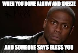 Kevin Hart | WHEN YOU HOME ALONW AND SNEEZE; AND SOMEONE SAYS BLESS YOU | image tagged in memes,kevin hart the hell | made w/ Imgflip meme maker