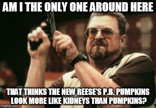 Am I The Only One Around Here | AM I THE ONLY ONE AROUND HERE; THAT THINKS THE NEW REESE'S P.B. PUMPKINS LOOK MORE LIKE KIDNEYS THAN PUMPKINS? | image tagged in memes,am i the only one around here,reese's,pumpkins,kidney | made w/ Imgflip meme maker