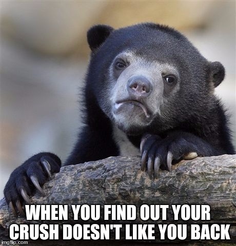Confession Bear Meme | WHEN YOU FIND OUT YOUR CRUSH DOESN'T LIKE YOU BACK | image tagged in memes,confession bear | made w/ Imgflip meme maker