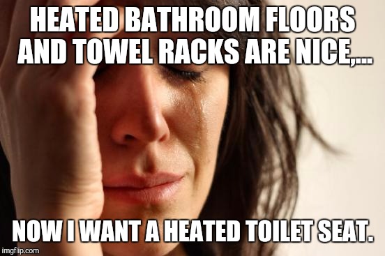 First World Problems Meme | HEATED BATHROOM FLOORS AND TOWEL RACKS ARE NICE,... NOW I WANT A HEATED TOILET SEAT. | image tagged in memes,first world problems | made w/ Imgflip meme maker