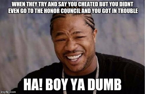 Yo Dawg Heard You Meme | WHEN THEY TRY AND SAY YOU CHEATED BUT YOU DIDNT EVEN GO TO THE HONOR COUNCIL AND YOU GOT IN TROUBLE; HA! BOY YA DUMB | image tagged in memes,yo dawg heard you | made w/ Imgflip meme maker