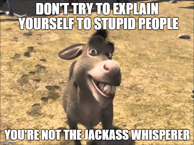 Donkey Shrek | DON'T TRY TO EXPLAIN YOURSELF TO STUPID PEOPLE; YOU'RE NOT THE JACKASS WHISPERER | image tagged in donkey shrek | made w/ Imgflip meme maker