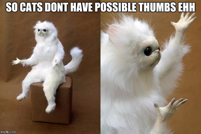 Persian Cat Room Guardian | SO CATS DONT HAVE POSSIBLE THUMBS EHH | image tagged in memes,persian cat room guardian | made w/ Imgflip meme maker