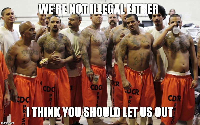 WE'RE NOT ILLEGAL EITHER I THINK YOU SHOULD LET US OUT | made w/ Imgflip meme maker
