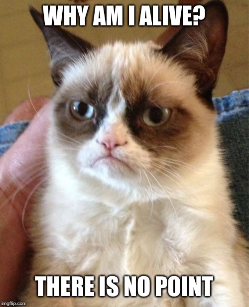Grumpy Cat Meme | WHY AM I ALIVE? THERE IS NO POINT | image tagged in memes,grumpy cat | made w/ Imgflip meme maker