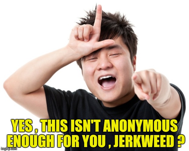 You're a loser | YES , THIS ISN'T ANONYMOUS ENOUGH FOR YOU , JERKWEED ? | image tagged in you're a loser | made w/ Imgflip meme maker