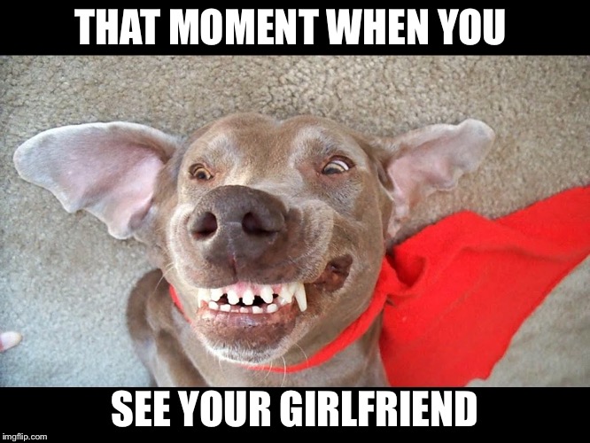 Ugly dog | THAT MOMENT WHEN YOU; SEE YOUR GIRLFRIEND | image tagged in dog | made w/ Imgflip meme maker