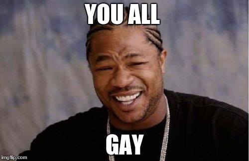 Yo Dawg Heard You | YOU ALL; GAY | image tagged in memes,yo dawg heard you | made w/ Imgflip meme maker