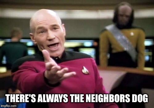 Picard Wtf Meme | THERE'S ALWAYS THE NEIGHBORS DOG | image tagged in memes,picard wtf | made w/ Imgflip meme maker