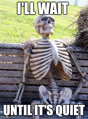 Waiting Skeleton | I'LL WAIT; UNTIL IT'S QUIET | image tagged in memes,waiting skeleton | made w/ Imgflip meme maker