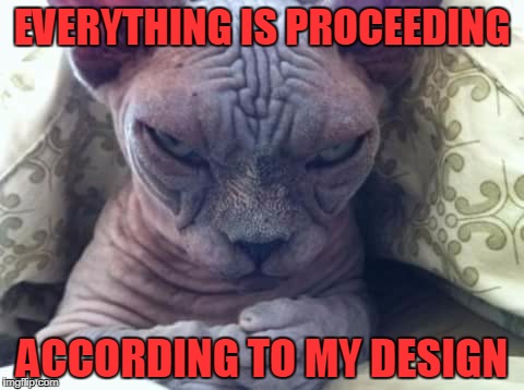 Proceeding to My Design | EVERYTHING IS PROCEEDING; ACCORDING TO MY DESIGN | image tagged in cat sidious,memes | made w/ Imgflip meme maker