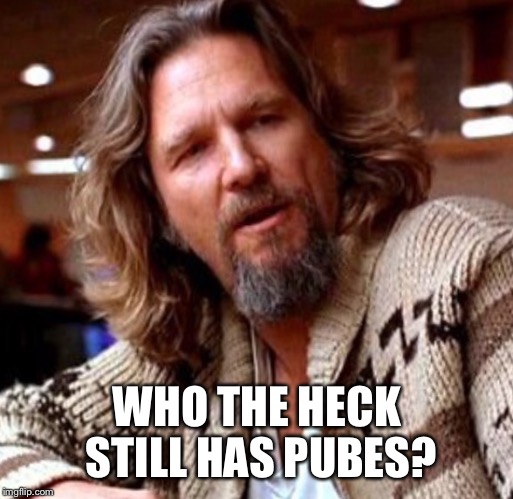 Dude | WHO THE HECK STILL HAS PUBES? | image tagged in dude | made w/ Imgflip meme maker