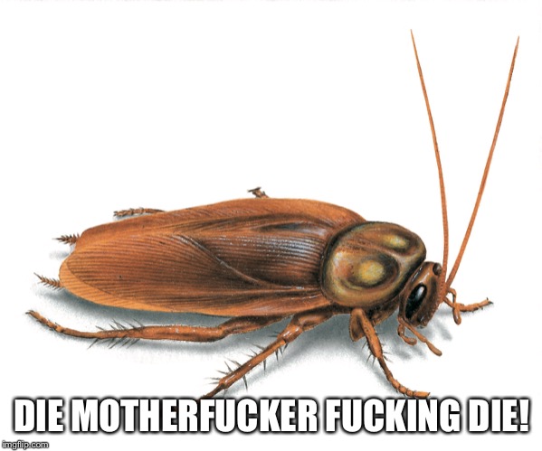 DIE MOTHERF**KER F**KING DIE! | made w/ Imgflip meme maker