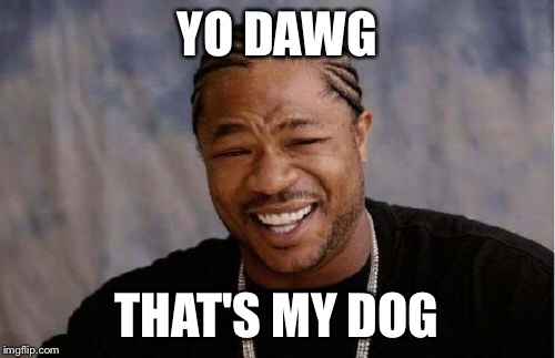 Yo Dawg Heard You Meme | YO DAWG THAT'S MY DOG | image tagged in memes,yo dawg heard you | made w/ Imgflip meme maker