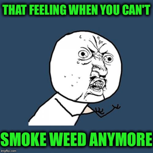 Y U No | THAT FEELING WHEN YOU CAN'T; SMOKE WEED ANYMORE | image tagged in memes,y u no,weed,sober | made w/ Imgflip meme maker