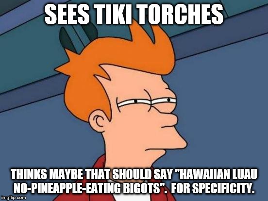 Futurama Fry Meme | SEES TIKI TORCHES THINKS MAYBE THAT SHOULD SAY "HAWAIIAN LUAU NO-PINEAPPLE-EATING BIGOTS".  FOR SPECIFICITY. | image tagged in memes,futurama fry | made w/ Imgflip meme maker
