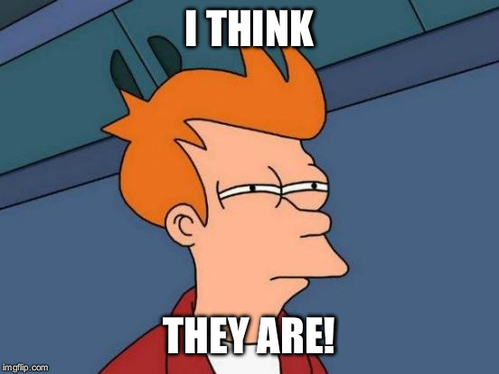 Futurama Fry Meme | I THINK THEY ARE! | image tagged in memes,futurama fry | made w/ Imgflip meme maker