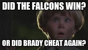 dumb kid | DID THE FALCONS WIN? OR DID BRADY CHEAT AGAIN? | image tagged in dumb kid | made w/ Imgflip meme maker