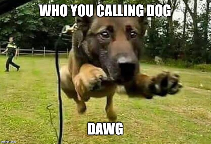 WHO YOU CALLING DOG DAWG | made w/ Imgflip meme maker