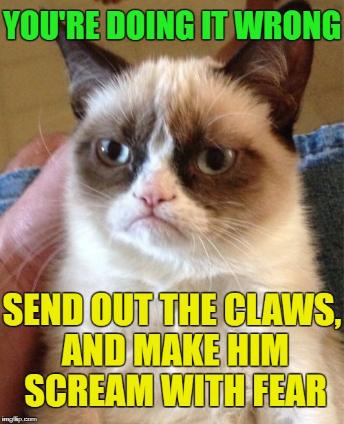 Grumpy Cat Meme | YOU'RE DOING IT WRONG SEND OUT THE CLAWS, AND MAKE HIM SCREAM WITH FEAR | image tagged in memes,grumpy cat | made w/ Imgflip meme maker