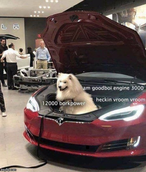 Such borkpower | . | image tagged in funny,doge,tesla | made w/ Imgflip meme maker