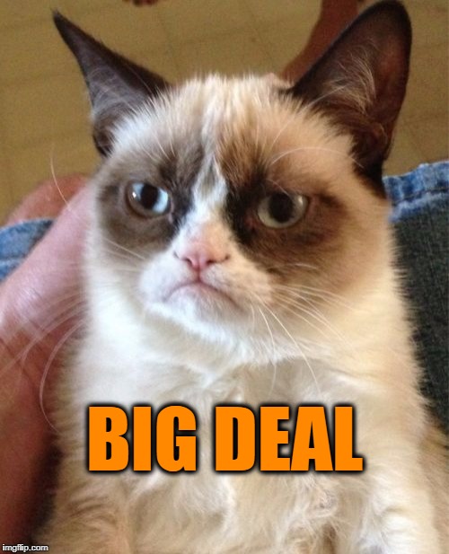 Grumpy Cat Meme | BIG DEAL | image tagged in memes,grumpy cat | made w/ Imgflip meme maker