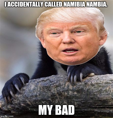 oh well trump, just keep going | I ACCIDENTALLY CALLED NAMIBIA NAMBIA. MY BAD | image tagged in confession bear | made w/ Imgflip meme maker