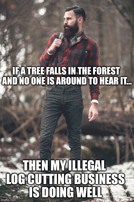 HIPSTER LUMBERJACK | IF A TREE FALLS IN THE FOREST AND NO ONE IS AROUND TO HEAR IT... THEN MY ILLEGAL LOG CUTTING BUSINESS IS DOING WELL | image tagged in hipster lumberjack | made w/ Imgflip meme maker