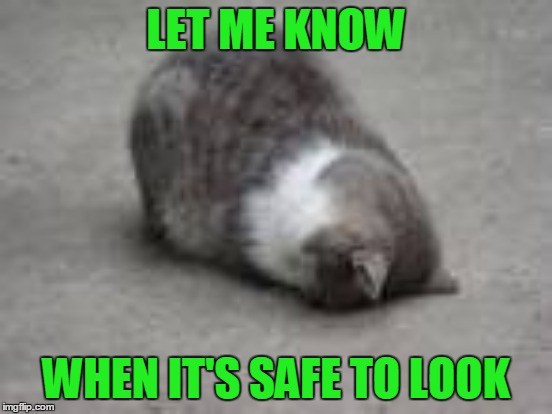 LET ME KNOW WHEN IT'S SAFE TO LOOK | made w/ Imgflip meme maker